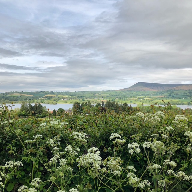 Llangorse Lake