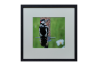 Great Spotted Woodpecker 