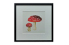 Fly Agaric (Framed) 