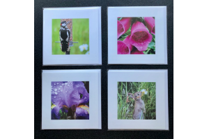 Mixed packs of greetings cards 